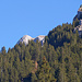 Zoom zum Gipfel des Elsighorns