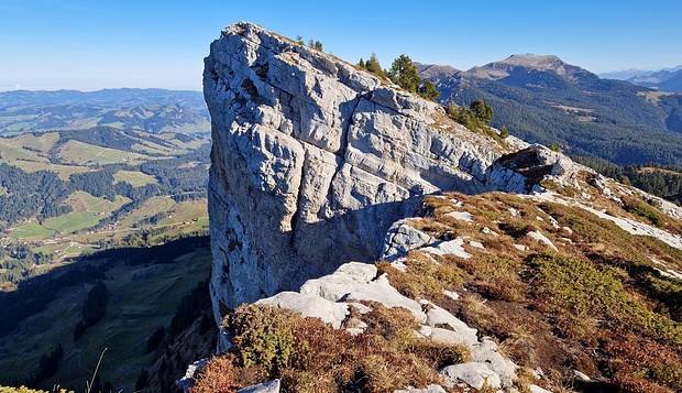 Ein stolzer Zahn.