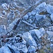 an der Kriegsstellung