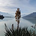 Lago Novate Mezzola
