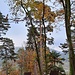 Aussichtsbänke am Weg.