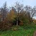 Zur Ori: Auto am Seniorenpark Hinterweidenthal abstellen, von dort aus sind's nur ein paar unmarkierte Schritte auf einem Waldpfad hinauf zum Heufels. Nope, nicht links, nicht rechts, ab durch die Mitte geht's zum...