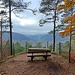 Am Birkenblick hat man eine schöne Aussicht auf ein paar Birken, Hinterweidenthal und ins Tal der Wieslauter.