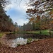 ...hübsch im Wald gelegenen Badesee.