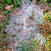 Herbst!