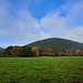 Im Tal des Mühlenbachs. 