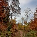 ...und wanderten nach Süden...