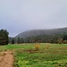 Man landet im Osten einer noch größeren Lichtung, "Auf der Heide" genannt. 