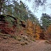 Unterhalb der Kanzel umwanderten wir nun auf dem breiten Weg den Etschberg. 