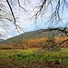 Im Tal des Mühlenbachs. 