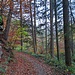 Wir bogen hier aber nochmal links ab, und wanderten an der A. B. M. Quelle vorbei zu einem...