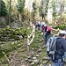 Arrivo a Cavojasca