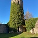 Sausenburg<br /><br />