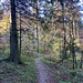 Danach verläuft der Weg ziemlich horizontal, bevor man nach Egerten absteigt.<br /><br />