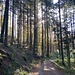 Oft nun auf Forstwegen.<br /><br />