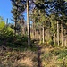 Angenehmes Wandern in schöner Umgebung.<br /><br />