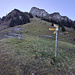 Blick von der Schörizegg zur Schörizflue: unten der bequeme NW-Rücken mit guten Pfadspuren zur Schulter ca. 1780m (oben links),  darüber die unüberwindlichen Flühe der oberen NW-Flanke (oben Mitte und rechts)