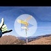 <b>Arrivo in vetta al Gazzirola (2115 m) - 9.11.2024, ore 11:10.</b>