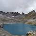 Wildsee
