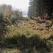 wegloser Abstecher