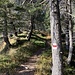 herrlicher Weg