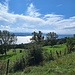 Murtensee