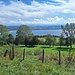 Murtensee