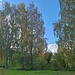 in Murten