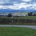 Sicht zurück nach Murten und Murtensee