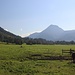 über Wiesen zum Bergfuß