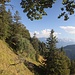auf dem Weg zum Heuberg
