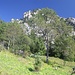 Bichler Alm