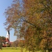 Herbst in Nussdorf
