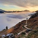 Le bas de la descente - enfin 5mn de sentier moelleux !