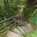 Trail