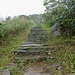 Trail