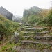 Trail