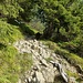 Mitunter ist Weg 611 auch im Wald etwas steinig, aber nie schwierig.