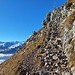 Der Bergwanderweg ist recht ruppig, aber nicht wirklich schwer. Dennoch ist er laut einer SAC-Statistik der gefährlichste Bergwanderweg der Schweiz mit den meisten Unglücken seit 1998. Dies muss man allerdings auch im Verhältnis zur Frequentierung sehen. Heute war es ruhig. Insgesamt 10 Personen habe ich im Auf- und Abstieg angetroffen. Der Wirt auf dem Mythen meinte, dass der Neuschnee Leute abschreckt.<br />Edit 15.11.2024: Erst letzten Sonntag ist ein 56 jähriger Berggänger auf diesem Weg 200 m in die Tiefe gestürzt. 