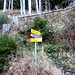 Il bivio - scorciatoia Q1570 per Alpe Granda, noi seguiamo la strada sterrata, il sentiero lo percorreremo al ritorno