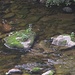An der Gutach
