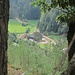Nach diesem längeren, spannenden Weglosabschnitt sind wir endlich wieder auf einem Forstweg. Blick zum "Alter Schwarzwaldhof (Dritter Bauer)" -an dem wir später noch vorbeikommen