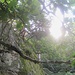 Mystische Stimmung