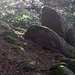 "On the rocks"