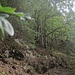 Rückblick auf diese Passage