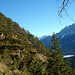 Der schöne Kiefernwald am Südhang des Grießberges weckt alte Heimatgefühle