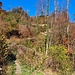 Blick auf den Biketrail Triemli
