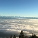 Aussicht von der Hasenmatt zu den Berner Riesen