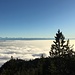 Aussicht von der Hasenmatt über das Aaretal Richtung Bern