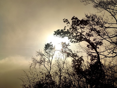 Surreale Stimmung 